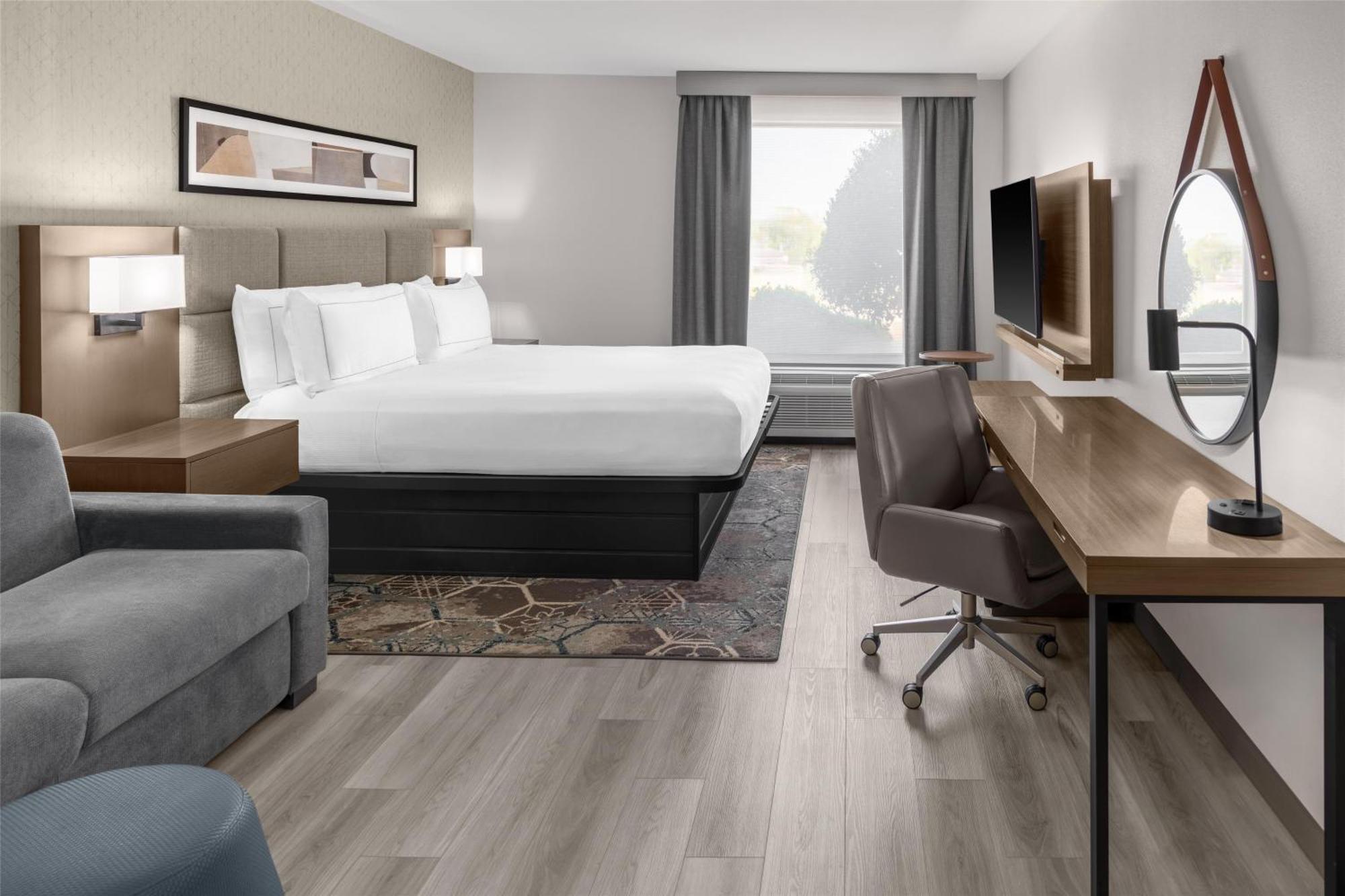Room with One King Bed and Sofa Bed